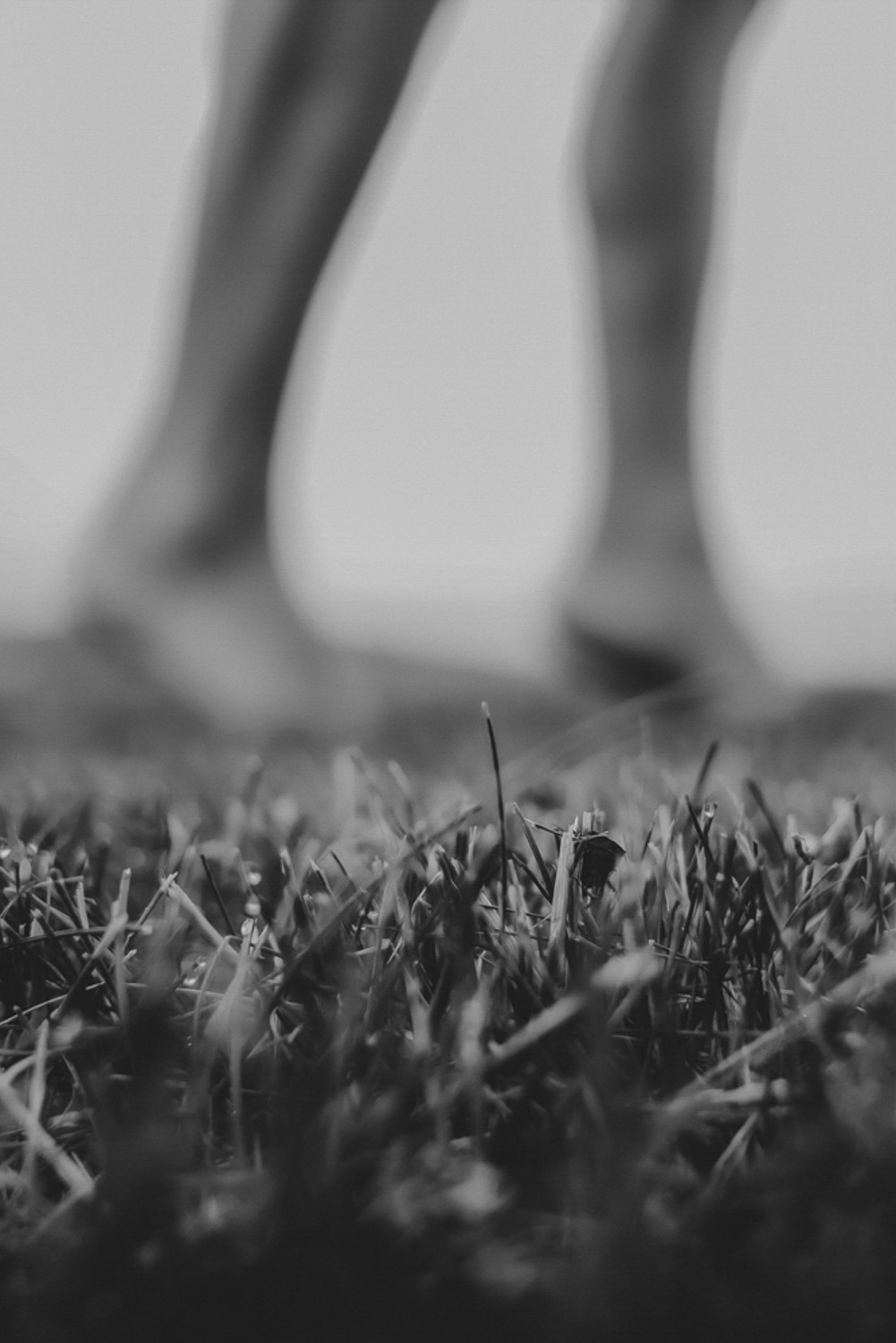 Schwarz-Weiß-Bild. Nackte Füße die barfuss durchs Gras gehen. Fokus auf dem Gras.