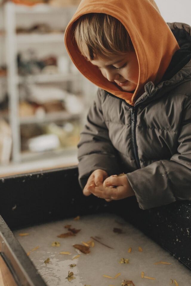 Kind, das Blüten in einen großen Topf mit Wasser zupft.