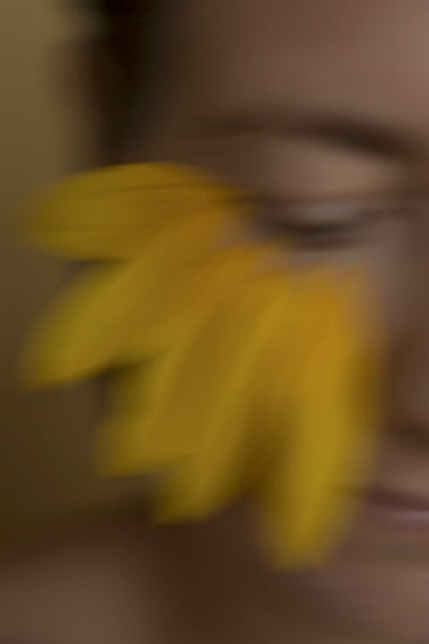 Ein Frauenportrait, allerdings sieht man nur die Hälfte des Gesichtes. Unter dem Auge schmücken die Blüten der Sonnenblume ihre Wange. Es scheint als währen es getrocknete Tränen, in gelb, die scheinen.